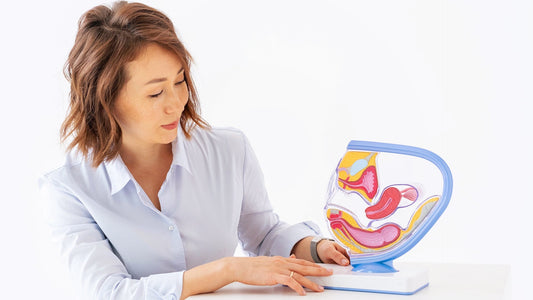 Donna che mostra un modello di vagina