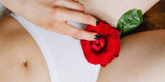 Parte inferiore dell'addome di una donna con una rosa