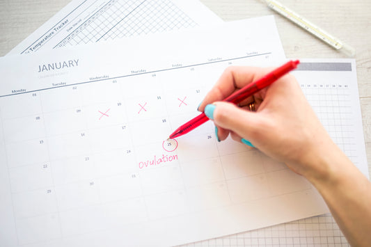 calendario di monitoraggio del ciclo