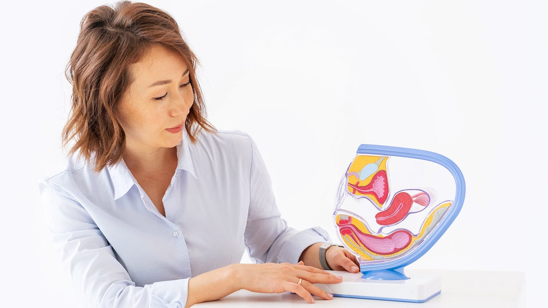 Donna che mostra un modello di vagina